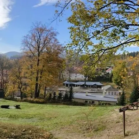Apartament Parkowy Jedlina-Zdroj Esterno foto