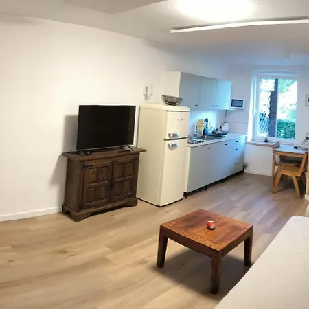 Apartament Parkowy Jedlina-Zdroj Esterno foto